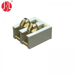 BT-002AE 4.1mm Pitch Spring Battery Connector Contact 2Pin SMT