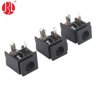 DC-009 DC Power Jack with Switch Through Hole Right Angle